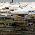 Stattliche Kernsteinsammlung